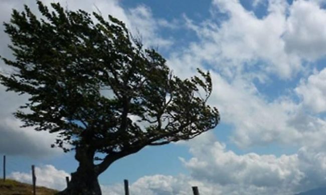 Allerta meteo in Veneto, previsto forte vento sulla costa