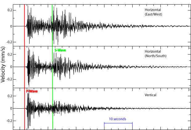 Forte scossa di terremoto percepita a Venezia