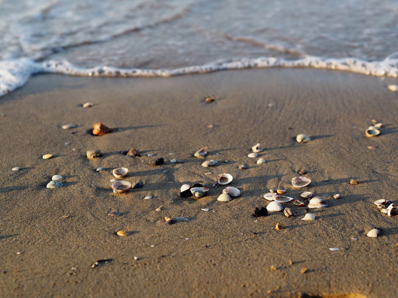 Easy Summer: ecco l’App per le spiagge che unisce divertimento e sicurezza