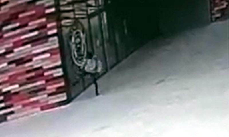Danni all’esterno del museo M9: un denunciato. Il video che incastra il colpevole