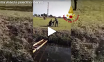 Puledrino salvato dai Vigili del Fuoco: era caduto in un canale a Cavallino - Treporti VIDEO