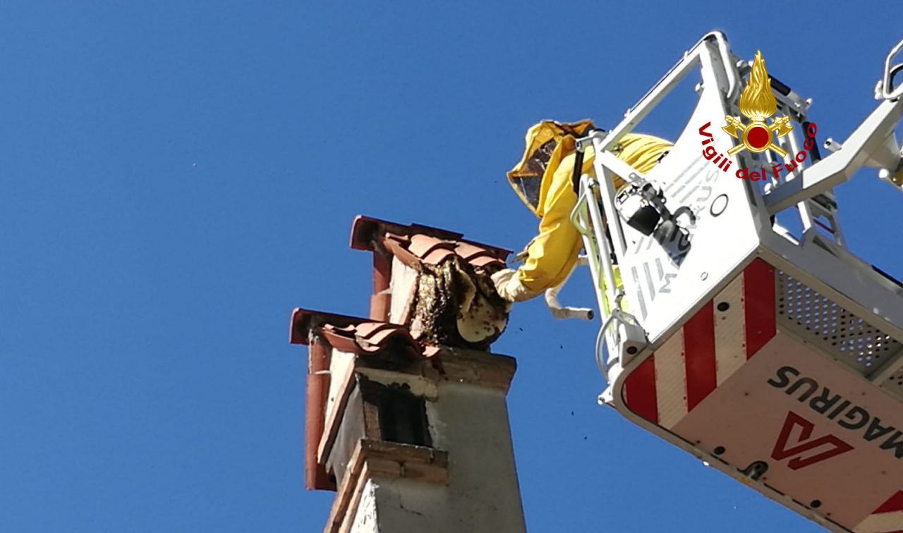 Mestre: recuperato un alveare sul comignolo di un’abitazione GALLERY