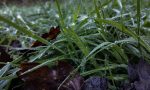 Allerta meteo: da stasera fino al 3 luglio possibili precipitazioni intense