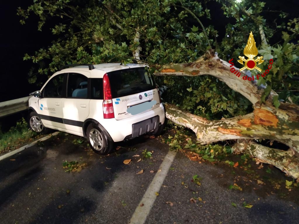 Maltempo nel Veneziano, albero precipita su un'auto a Chioggia: danneggiato anche a un negozio! - FOTO