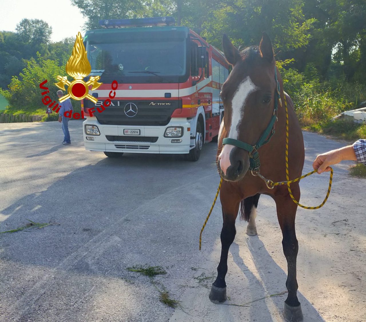 Fiume Piave, cavallo salvato dai Vigili del fuoco a Fossalta – VIDEO