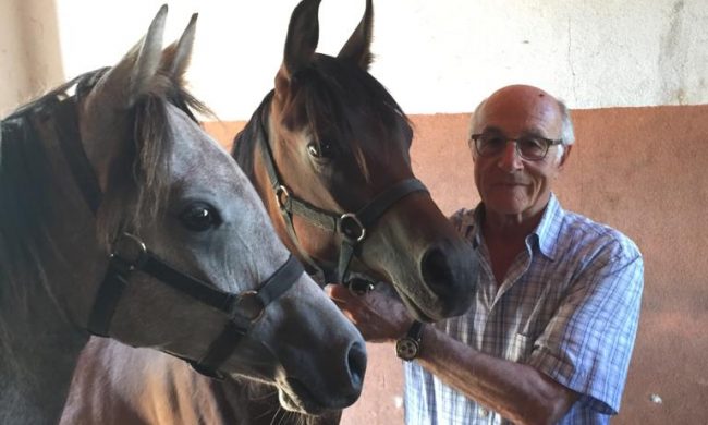 Premio “Carla Guglielmi”, anoressia e abuso di internet si combattono a cavallo: menzione speciale per la veneziana Anna Zampieri