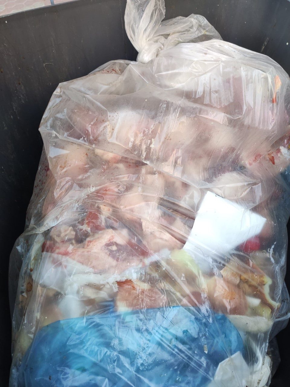 Scarti di carne buttati nei cassonetti, maxi multa per una macelleria