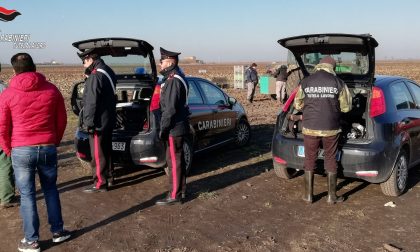 Lavoro nero e norme anti Covid violate, azienda agricola nei guai: sanzioni per 51mila euro!