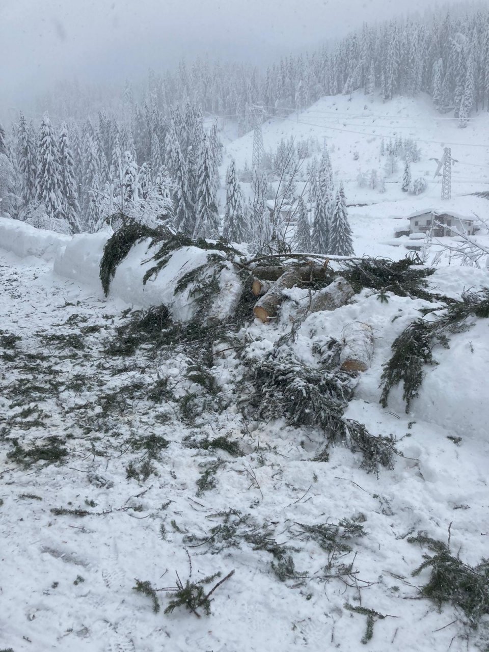 Intrappolati dalla neve in montagna, salvati nove ospiti di un residence: anche un bimbo di Marcon - FOTO