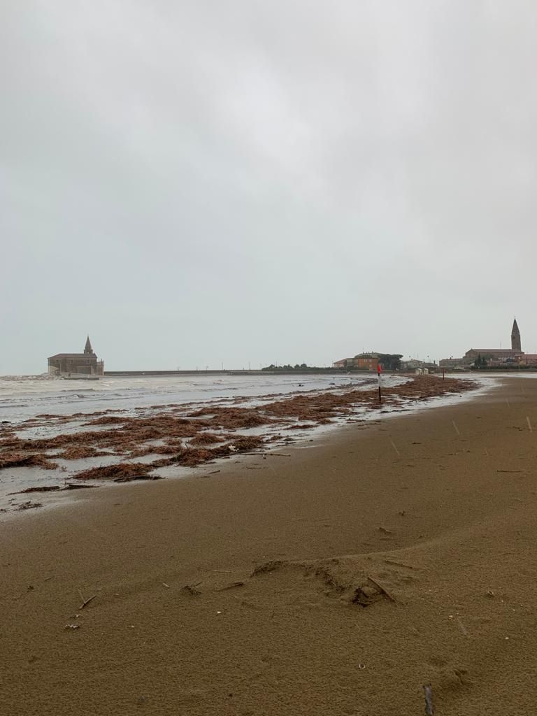 Mareggiata litorale: "Così rischiamo di perdere tutta la nostra spiaggia" - GALLERY