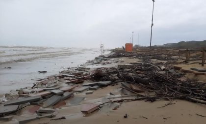 Mareggiata litorale: "Così rischiamo di perdere tutta la nostra spiaggia" - GALLERY