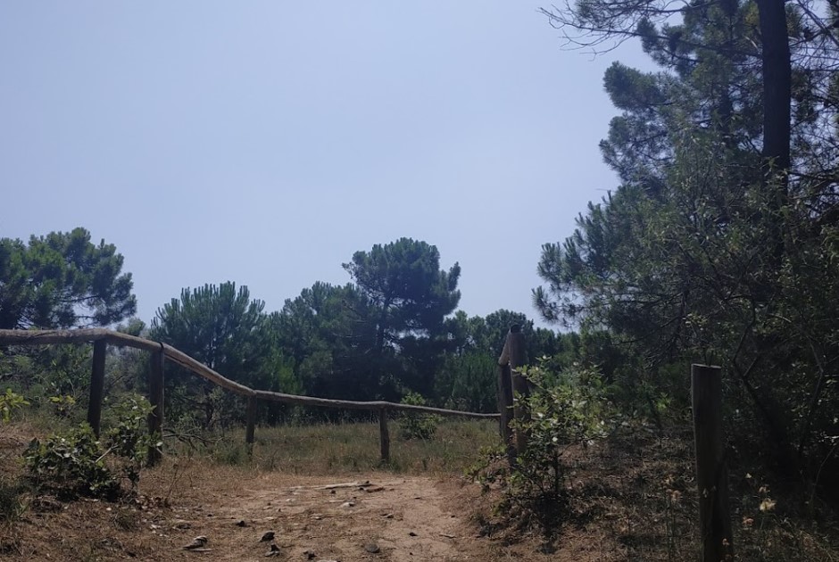 Una lettera alla Commissione europea per salvare le dune degli Alberoni