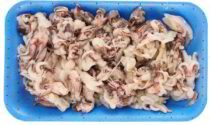 Richiamo alimentare: presenza di cadmio nei ciuffi di calamaro indopacifico decongelati