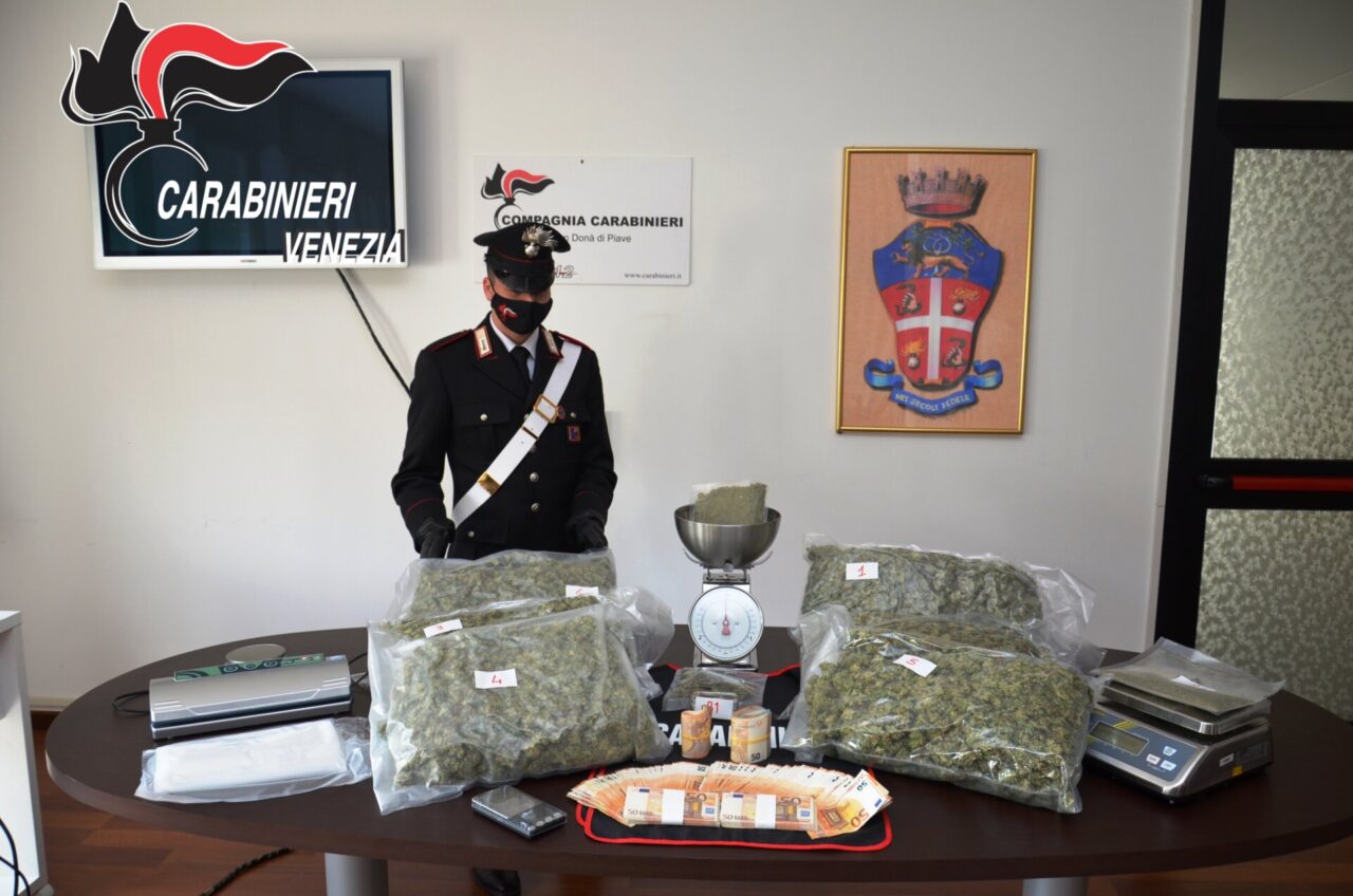 Professione: agente di commercio… di marijuana. 22enne di San Donà di Piave beccato con 6 chili d’erba
