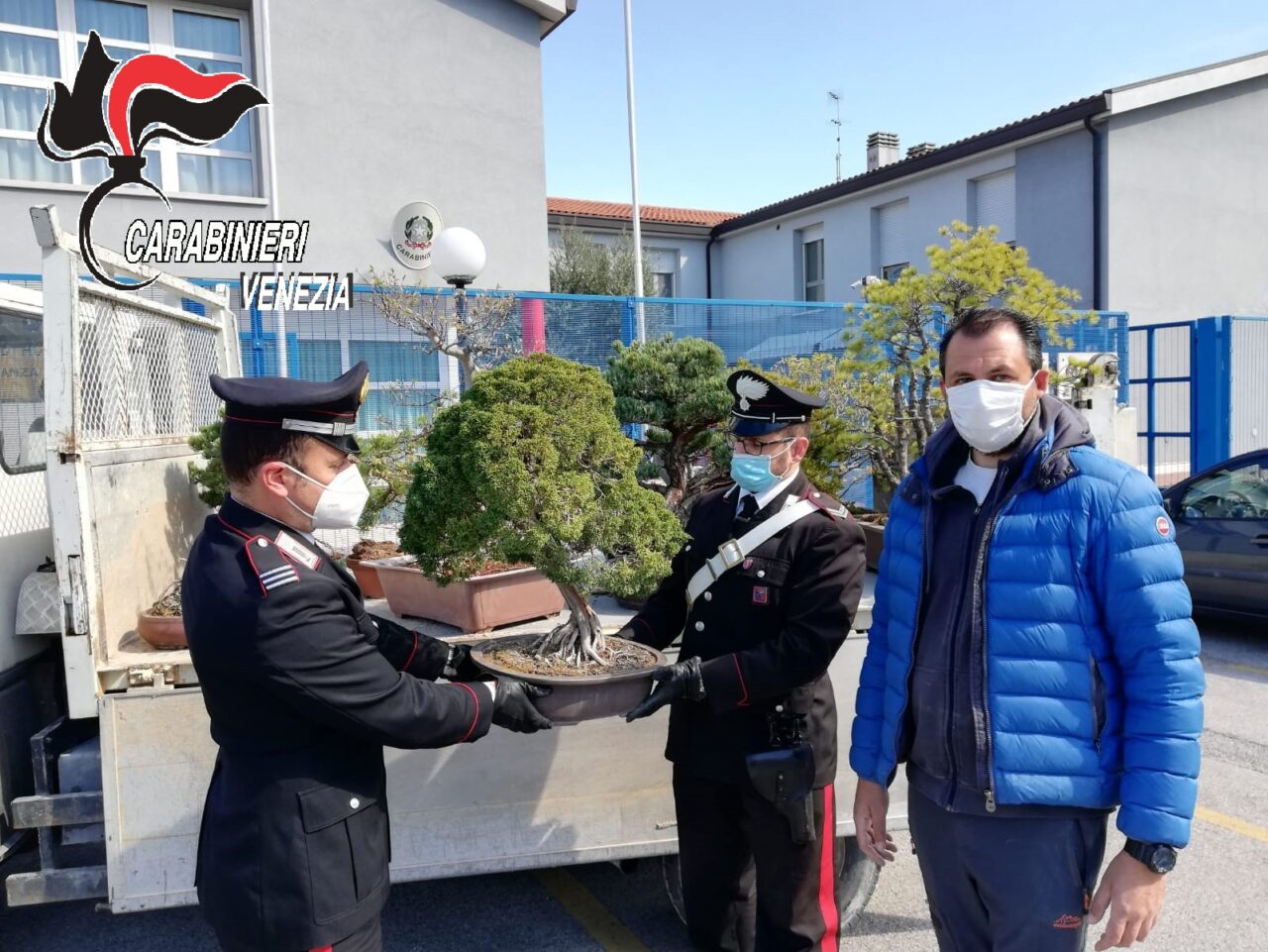 Ritrovati i preziosi bonsai rubati dal vivaio di Luca: ora tornano “a casa”