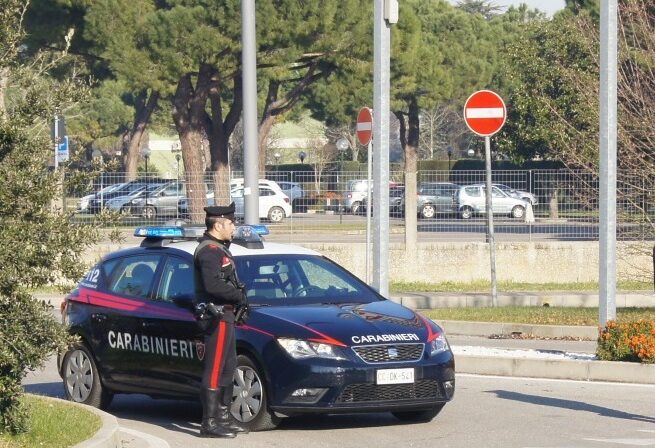 Sorpresi mentre danno fuoco al ricovero per gatti: due arrestati