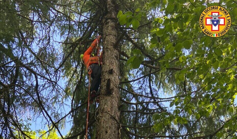 Precipita col parapendio e chiama i soccorsi dall’albero: 48enne veneziano salvato
