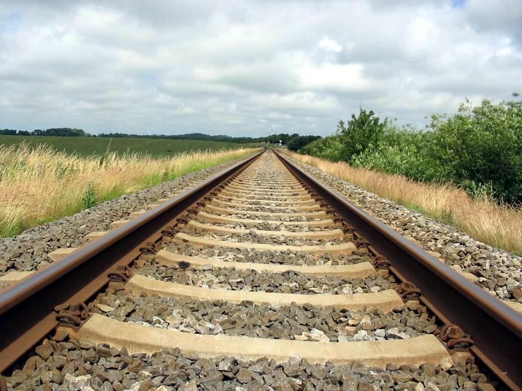 Il cane scappa e corre sui binari, lui lo insegue ma viene travolto da un treno