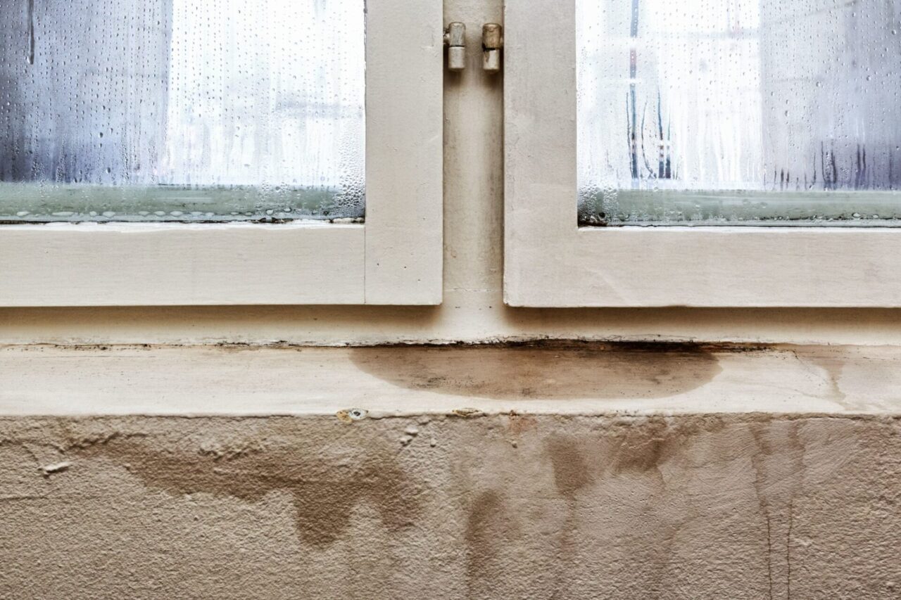 Problemi di umidità: quali sono quelli più comuni in casa e come eliminarli
