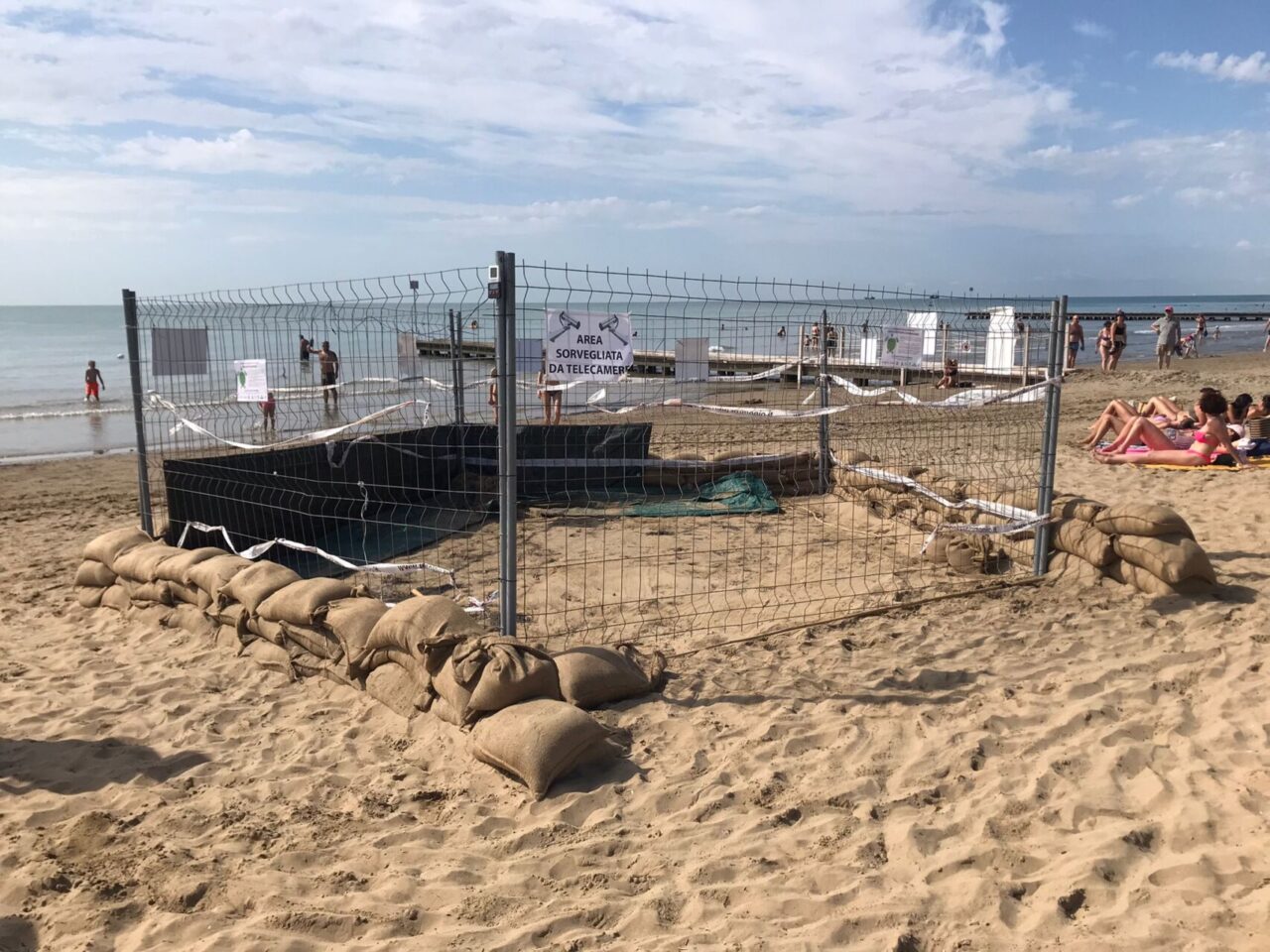 Nido di tartarughe sulla spiaggia di Jesolo, non era mai successo prima