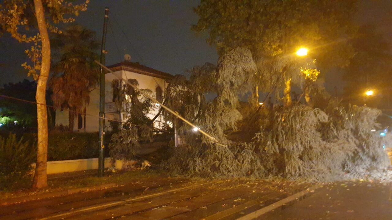 Nubifragio in provincia di Venezia: alberi abbattuti, blackout sparsi e vento a 180 km/h