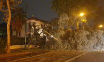 Nubifragio in provincia di Venezia: alberi abbattuti, blackout sparsi e vento a 180 km/h