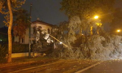 Nubifragio in provincia di Venezia: alberi abbattuti, blackout sparsi e vento a 180 km/h