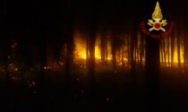 Incendio appiccato nella pineta di Bibione, Caner: "Servono pene esemplari"