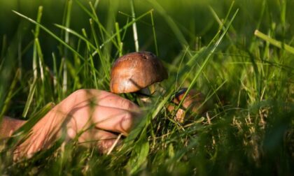 Una giornata a cercar funghi si trasforma in un incubo per un veneziano