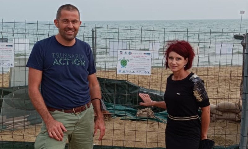 L’ostetrico delle tartarughine appena nate: “Che emozione pesarle e misurarle”