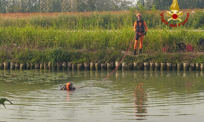 Cade dalla barca e viene inghiottito nel Naviglio del Brenta: trovato morto mezz’ora dopo