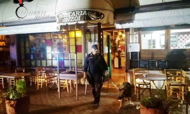 Primo, secondo, dolce e… cocaina: gestore del ristorante incastrato dal bigliettino con l’indirizzo