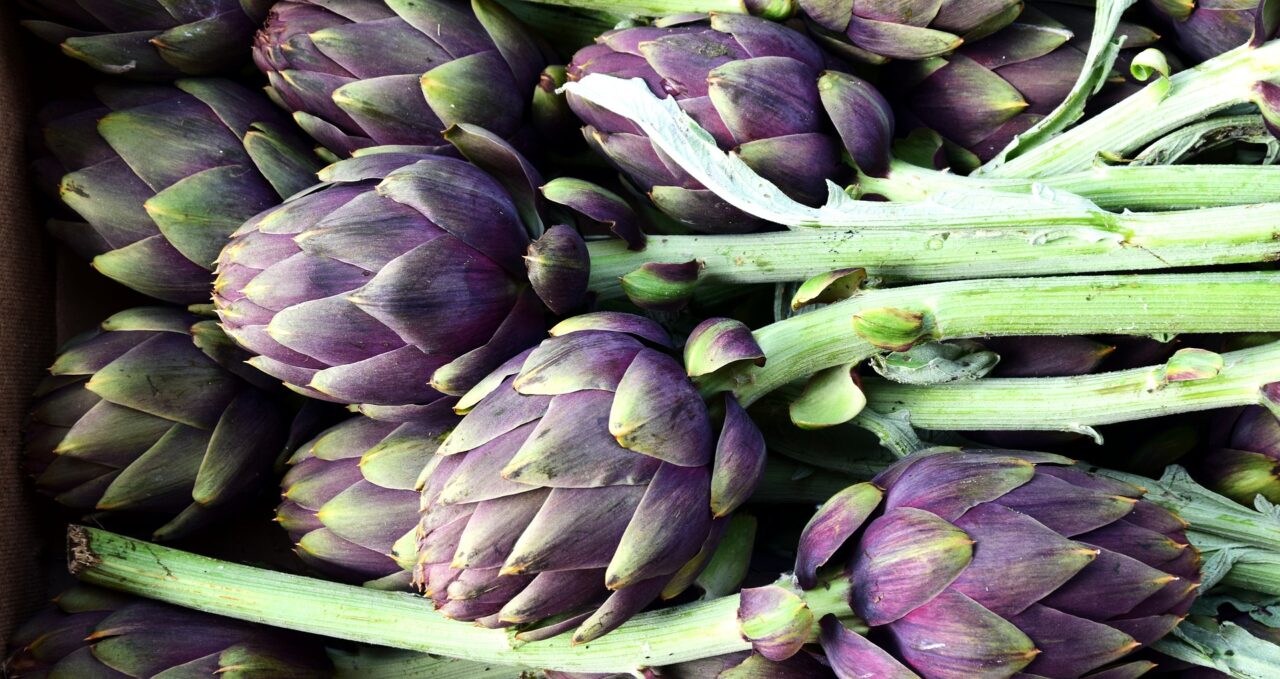 Scarti dei carciofi al mercato di Rialto diventano prodotti per salute e bellezza dei capelli