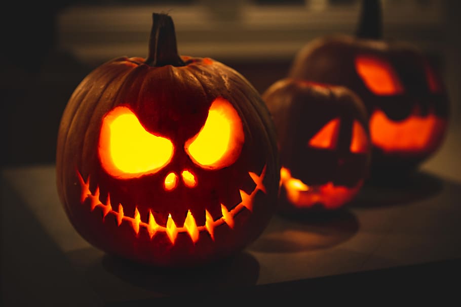 Cosa fare a Venezia e in provincia nel weekend (30 e 31 ottobre)
