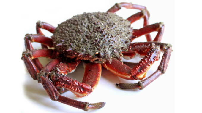 Listeria nella polpa di granceola “Fish & Friends”