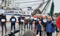 Chioggia, video e foto della protesta a sirene spiegate di armatori e pescatori contro il caro gasolio