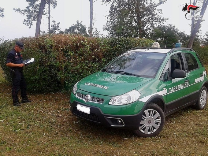 Catturavano uccelli protetti e li stipavano in celle frigorifere per poi rivenderli a prezzi esorbitanti