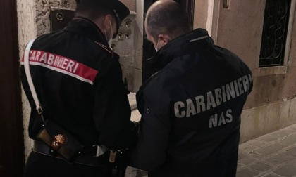 Shock a Venezia: cucine degli orrori e lavoratori in nero nelle zone della movida
