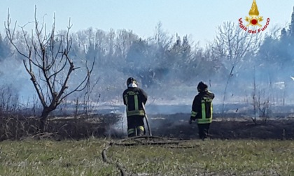 Le foto dell'incendio di sterpaglia all'isola di Sant'Erasmo