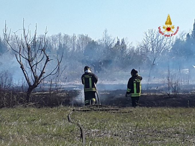 Le foto dell’incendio di sterpaglia all’isola di Sant’Erasmo