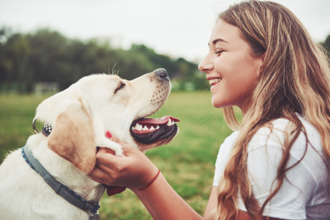 Come curare al meglio il proprio amico a quattro zampe