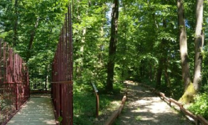 Dal 17 aprile al 12 giugno riapre il Bosco di Carpenedo