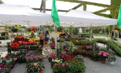 Al parco "Albanese" di Mestre torna il "Bissuola Spring Fest-Venice Flower Power"