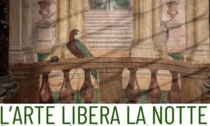 Art Night 2022: la Rete Biblioteche Venezia libera la notte con parole e musiche