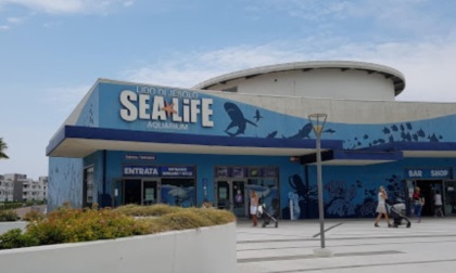 Il parco faunistico Sea Life di Jesolo chiude