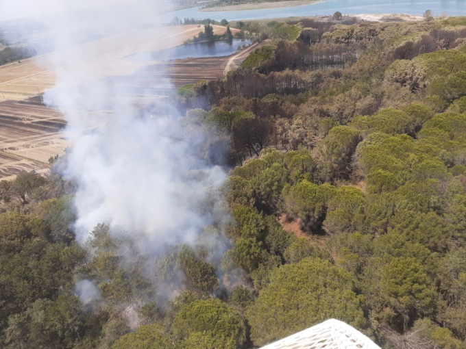 L’inferno di Bibione torna ad ardere: si è riacceso l’incendio