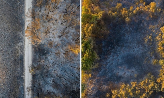 Incendi in Veneto, Zaia: “I nostri volontari sono straordinari, ma serve prudenza da parte di tutti”