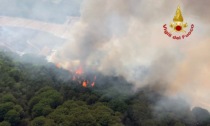 Incendio Bibione, Zaia, “Riprese attività di spegnimento, ancora focolai sottochioma”