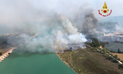 Le foto e i video del grosso incendio nella Pineta di Bibione, Zaia: "Non ci sono abitazioni interessate"