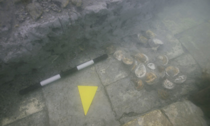 Incredibile a Cavallino: scoperte delle ostriche di 2mila anni